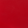 981649_Scarlet red beech.jpg